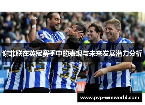 谢菲联在英冠赛季中的表现与未来发展潜力分析