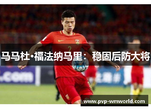 马马杜·福法纳马里：稳固后防大将