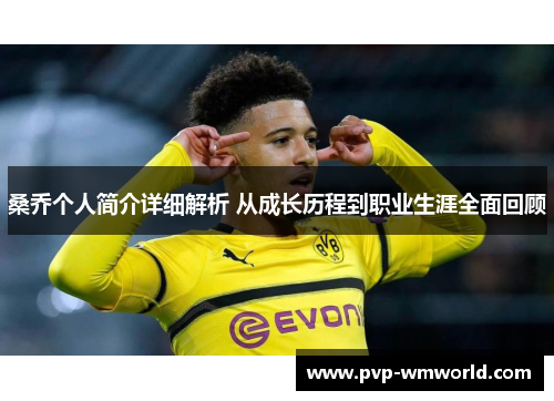 桑乔个人简介详细解析 从成长历程到职业生涯全面回顾