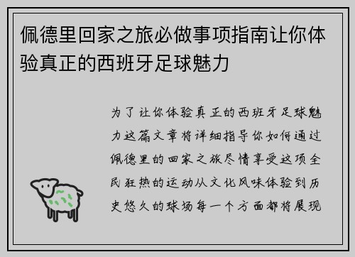 佩德里回家之旅必做事项指南让你体验真正的西班牙足球魅力